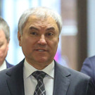 Володин призвал прекратить выдавать ВНЖ иностранным учителям и врачам