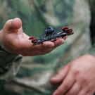 В Калужской области снова сбили беспилотник