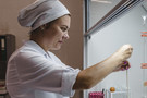 Казанские ученые работают над созданием искусственной конины