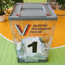 В Москве женщина вылила зеленку в урну для голосования – СКР возбудил уголовное дело