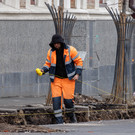 Совфед разрешил высылать нелегальных мигрантов
