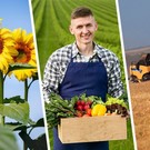 Минсельхоз РТ ответит на вопросы аграриев: задайте их на сайте «БИЗНЕС Online»
