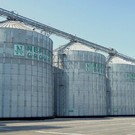 Казанский жировой комбинат начал экспортировать растительное масло в Индию – уже отправлено свыше 30 тысяч тонн 