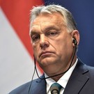 Орбан: Запад готовится обсуждать отправку войск на Украину