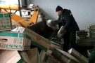 Комбинат «Майский» под Казанью уничтожил 76 тонн огурцов