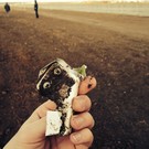 Польша откажется от версий о вине России в катастрофе Ту-154 Качиньского