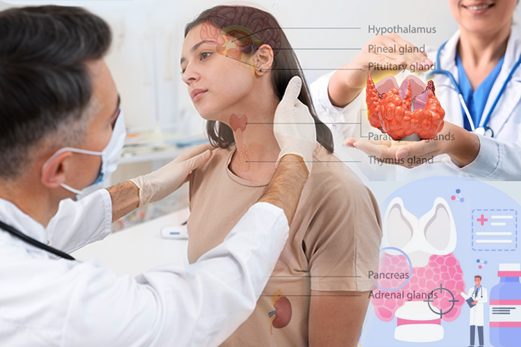 «Пациенты обижаются на диагноз «ожирение»! Просто какой-то бич!»: топ-40 эндокринологов Татарстана