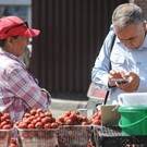 В Казани прошел рейд по незаконным торговым точкам