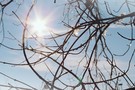 В Татарстане в выходные обещают плюсовую температуру