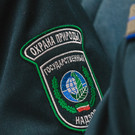 49 должностных лиц минлесхоза Татарстана, лесничеств и лесхозов сдали недостоверные справки о доходах