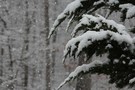 Синоптики сообщили о погоде в рождественскую ночь в Татарстане