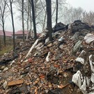 В РТ в лесопосадке обнаружили свалку – ущерб, нанесенный природе, оценивается в 6 миллионов рублей