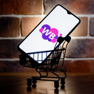 Суд признал платный возврат бракованных покупок на Wildberries незаконным