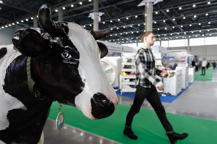 «Казань Агро – 2026»: достижения АПК РТ представили на выставке