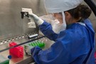 СМИ рассказали о новых фактах, подтверждающих искусственное происхождение коронавируса​