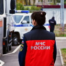 Названа вероятная причина крушения самолета в Подмосковье