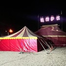 В Ангарске пантера напала на трехлетнего мальчика в цирке «Дикий драйв»