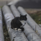 Отопительный сезон в Челнах завершился – он был короче предыдущего на 11 дней