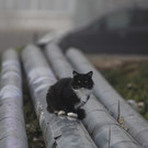 Тепло в жилые дома Нижнекамска подадут в течение 7 дней