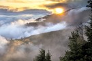 Россия может полностью запретить экспорт леса в Китай