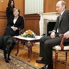 «Ангела, пожалуйста, извини меня»: Путин отверг слова Меркель, что он специально «пугал» ее лабрадором