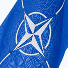 СМИ: У НАТО готов секретный план на случай прямого военного столкновения с Россией