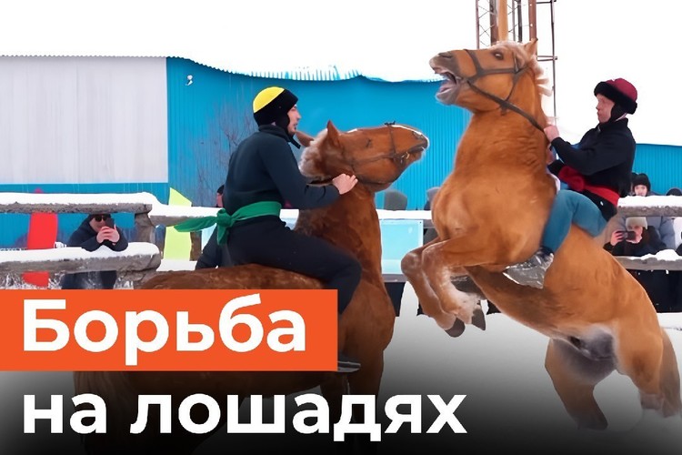 Как дерутся на лошадях? Уникальный турнир силачей прошел в Татарстане