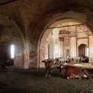 В Татарстане старинные храмы превратили в зернохранилище и коровник