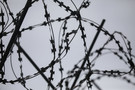 ФСИН: Четверо из 8 захваченных сотрудников в ИК-19 погибли, остальные пострадали