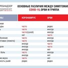 В Роспотребнадзоре назвали основные различия между симптомами коронавируса, ОРВИ и гриппа