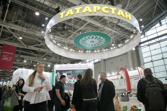 На «Золотой осени» представили ставропольскую клубничку для Медведева и кетчуп с колой от РТ