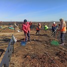 На территории едва не сгоревшего кладбища в Менделеевске провели уборку – пожар мог повториться вновь