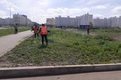 В Нижнекамске полиция уничтожила поле конопли рядом со школой