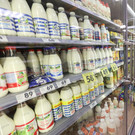 В России хотят создать ГОСТ на единую упаковку продуктов