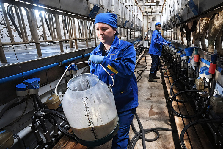 Глава молочного союза России: «Мы что, на охране, как церберы, стояли, чтобы их бизнес сохранять?!»