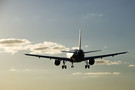 ​РФ с 1 октября хочет открыть авиасообщение с еще одной страной