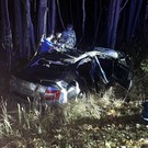 В Татарстане в ДТП с лосем погибли водитель и 11-летний ребенок