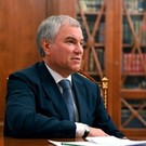 Володин оценил объем заблокированных активов РФ в США 