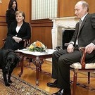 «Это демонстрация силы»: Меркель не простила Путина за инцидент с лабрадором