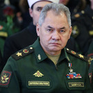 Шойгу приехал с инспекцией в Татарстан 