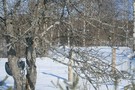 В Казани побит температурный рекорд