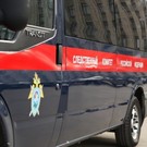 Бастрыкин поручил разобраться с ситуацией в многодетном поселке «Подсолнухи»