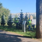 В парке «Сосновая роща» в Казани высадили аллею к 300-летию Российской академии наук