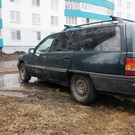 Водителей Казани с начала года оштрафовали на 20 миллионов рублей за парковку на зеленых зонах 