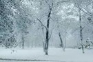 В Казани выпал первый снег 