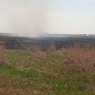 В Нижнекамске человек погиб при горении травы на площади 500 «квадратов»