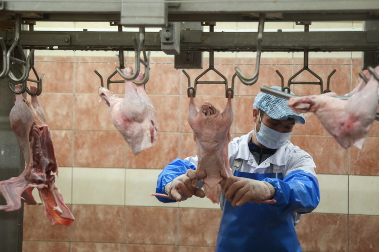 СХПК «Каусар»: как производят продукты из утиного мяса