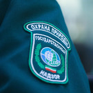Минэкологии РТ потребовало от властей Зеленодольска и Осиново выплатить 2,7 миллиона рублей за разлив канализации 