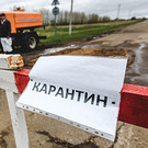 В Альметьевском районе ввели карантин по бешенству