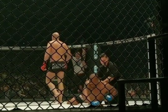 Емельяненко нокаутировал американца Джексона на турнире Bellator в Японии